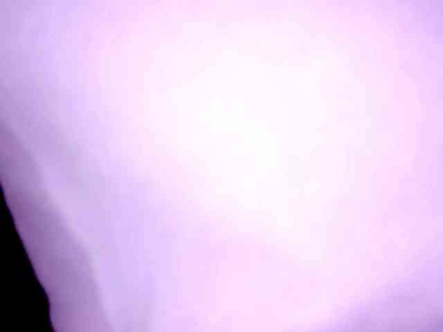 PetiteIvoryqueens webcam