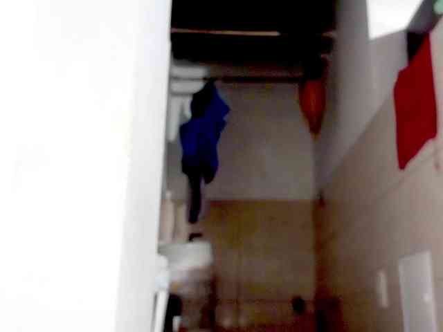 PetiteIvoryqueens webcam