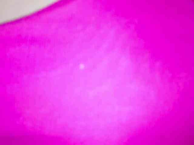 PetiteIvoryqueens webcam