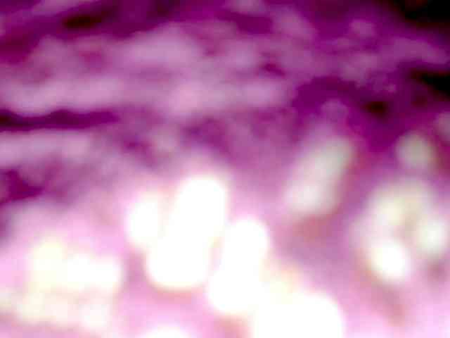 PetiteIvoryqueens webcam