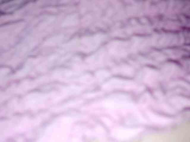 PetiteIvoryqueens webcam