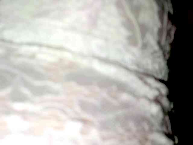 PetiteIvoryqueens webcam