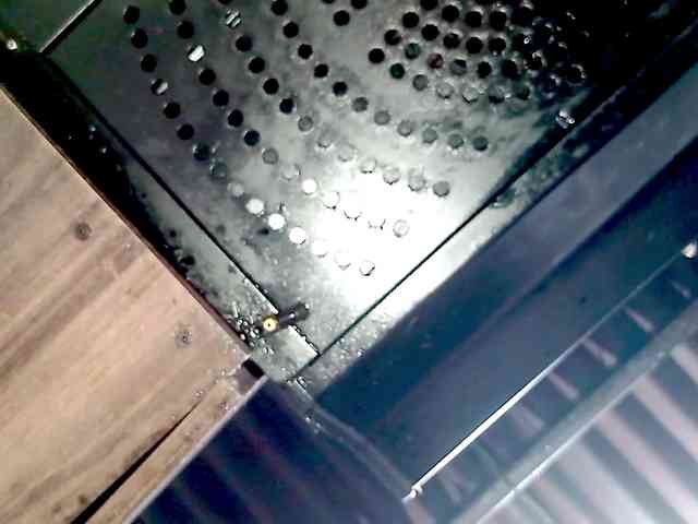 PetiteIvoryqueens webcam