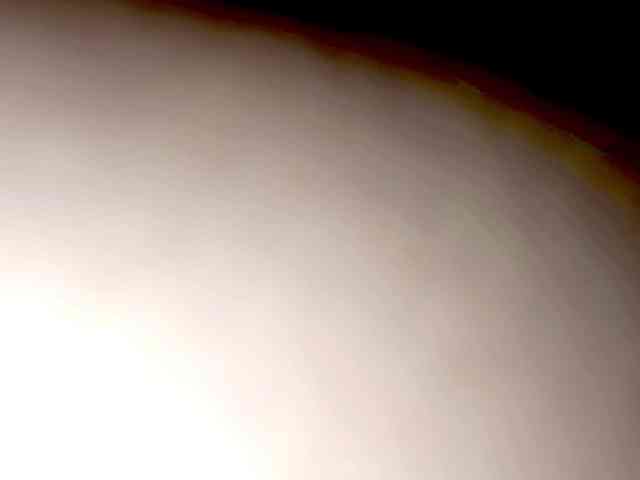 PetiteIvoryqueens