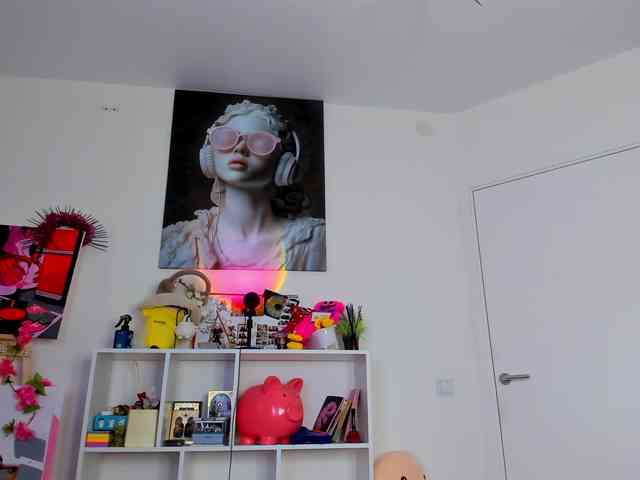 Evalore webcam