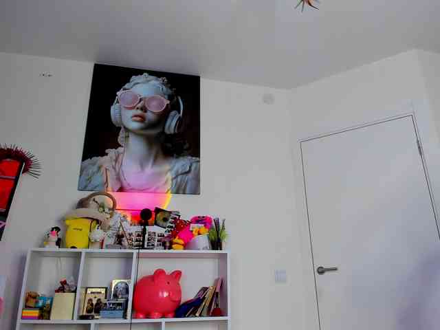 Evalore webcam