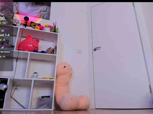 Evalore webcam