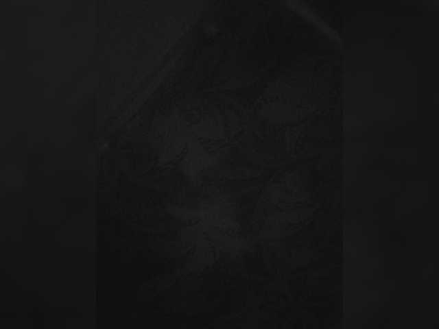 Aleksss-2111