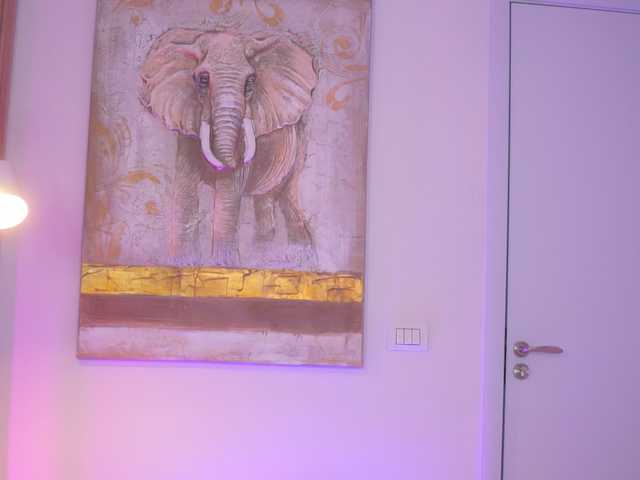 AishaBee live cam on BongaCams