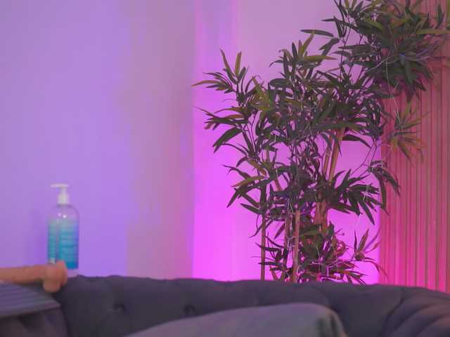 AishaBee live cam on BongaCams