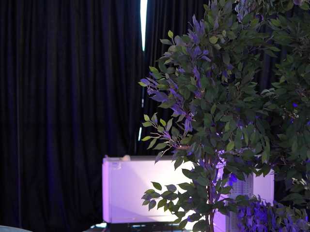 AishaBee live cam