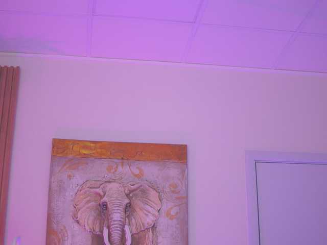 AishaBee live cam on BongaCams
