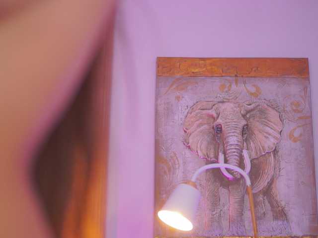 AishaBee live cam on BongaCams