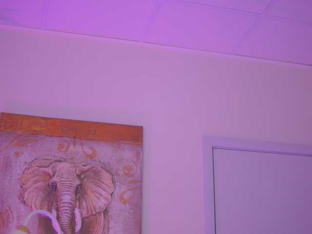 AishaBee live cam on BongaCams