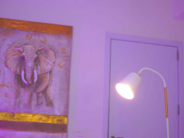 AishaBee's BongaCams show and profile