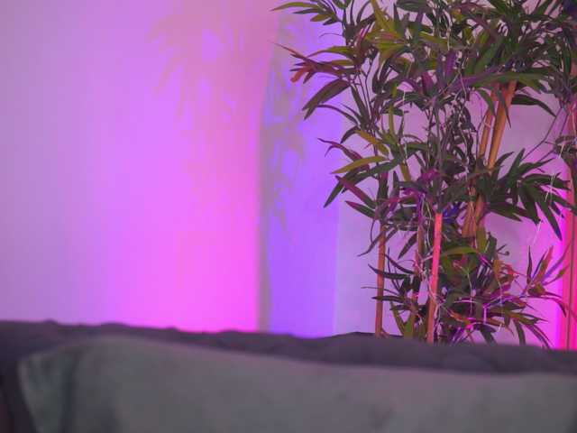 AishaBee live cam on BongaCams