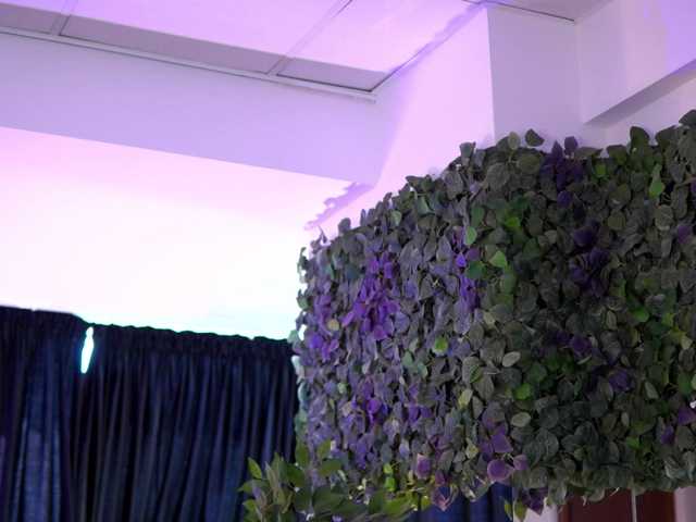 AishaBee live cam on BongaCams