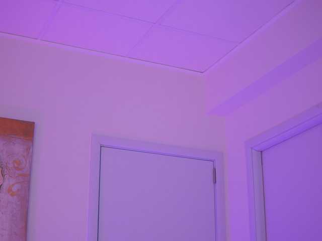 AishaBee webcam