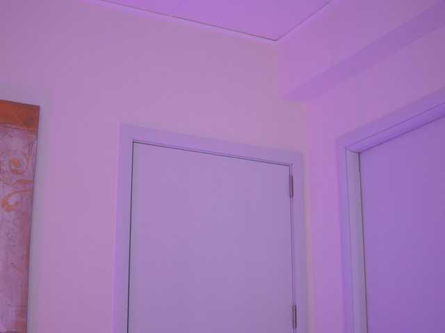 AishaBee webcam