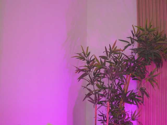 AishaBee