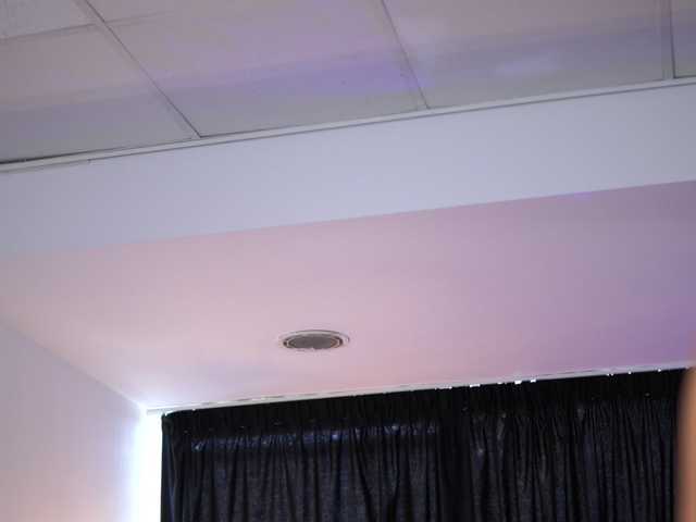 AishaBee webcam