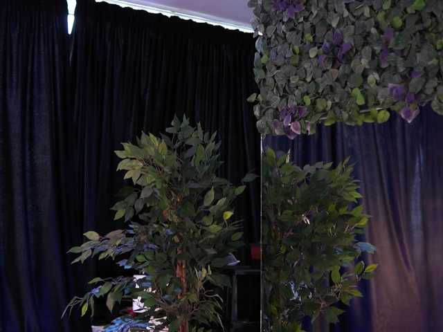 AishaBee live cam on BongaCams
