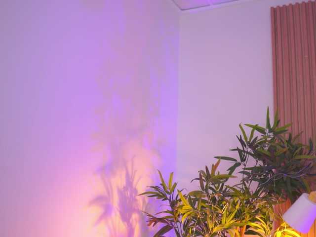 AishaBee live cam on BongaCams