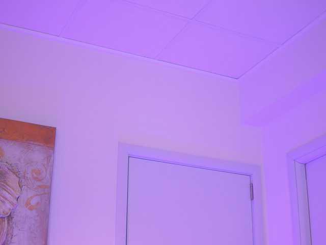 AishaBee live cam on BongaCams