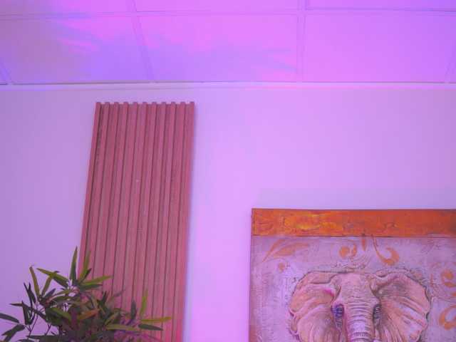 AishaBee webcam
