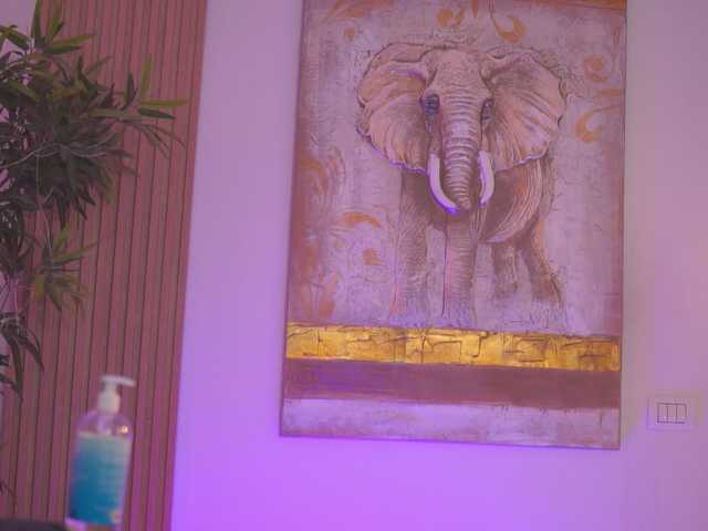 AishaBee webcam