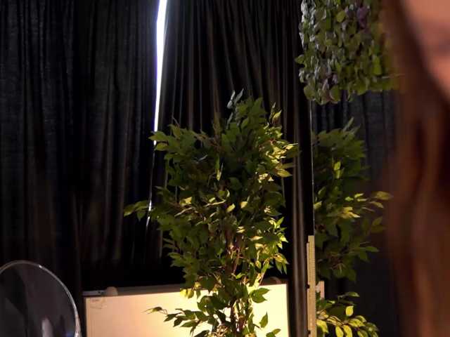 AishaBee live cam on BongaCams