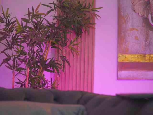 AishaBee webcam