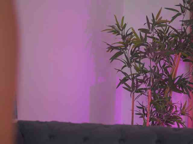 AishaBee