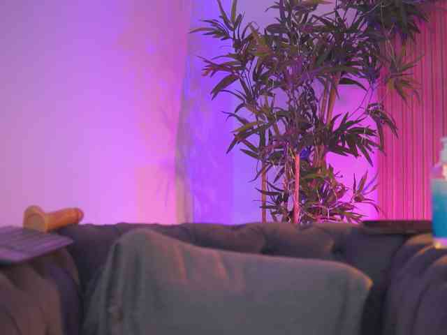 AishaBee webcam