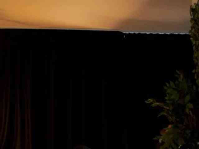 AishaBee webcam