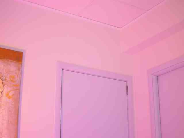 AishaBee webcam