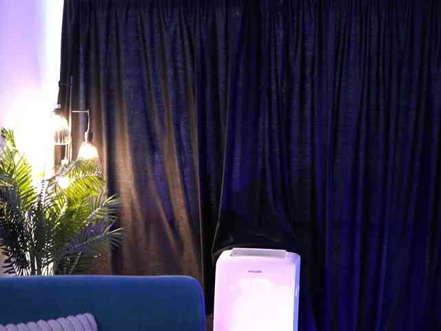 AishaBee webcam