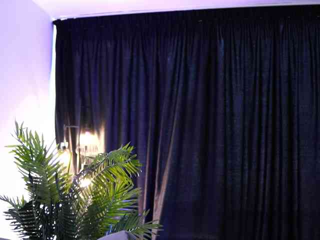AishaBee webcam