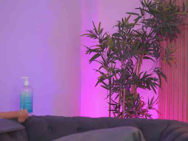 AishaBee webcam