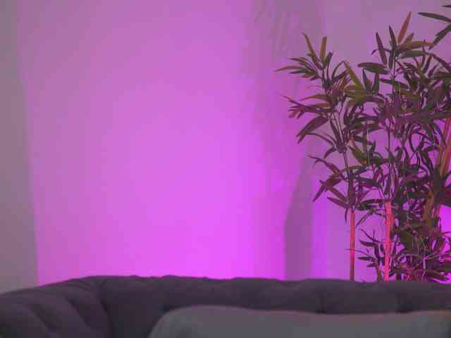 AishaBee webcam