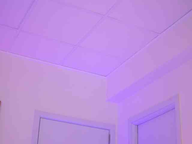 AishaBee webcam