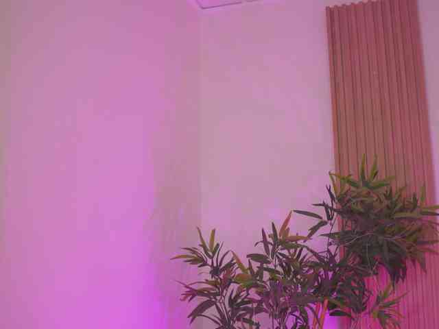 AishaBee webcam