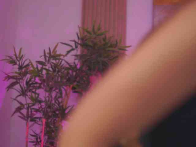 AishaBee webcam
