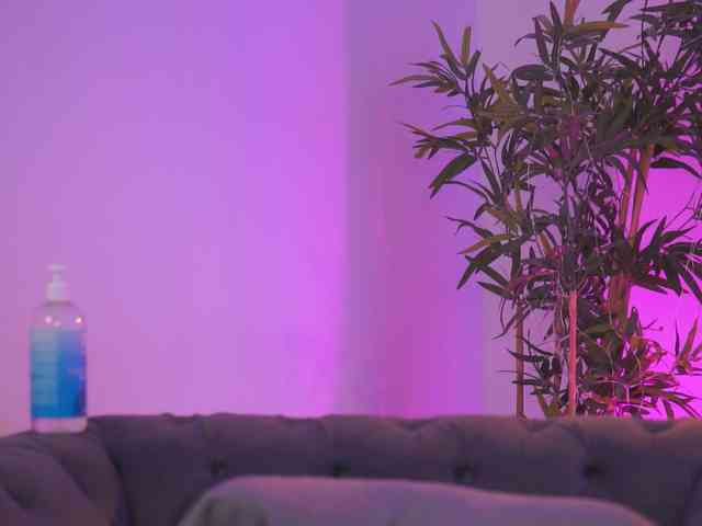 AishaBee webcam