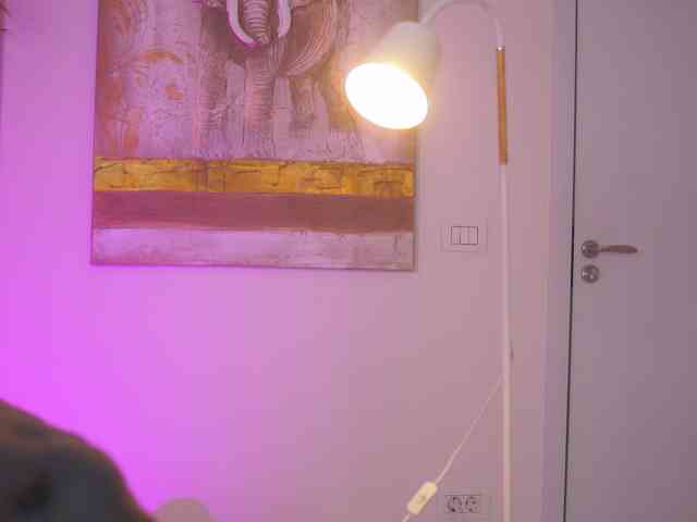 AishaBee webcam