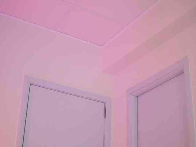 AishaBee webcam