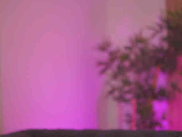 AishaBee webcam