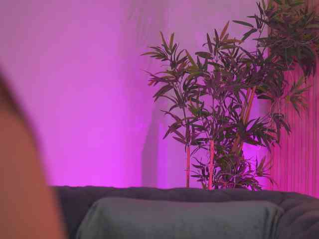 AishaBee webcam