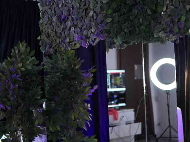 AishaBee webcam