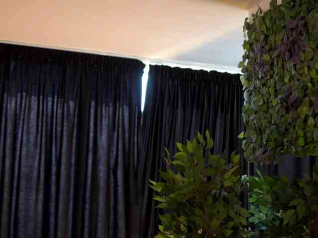 AishaBee webcam